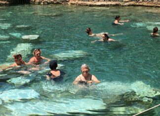 Fatih Sultan Mehmed ve Avrupa Resmine Olan İlgisi