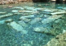 Fatih Sultan Mehmed ve Venedik Sanatçılarıyla Kültürel Etkileşim