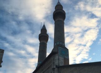 Biyolojik Çeşitliliğin Tanımı